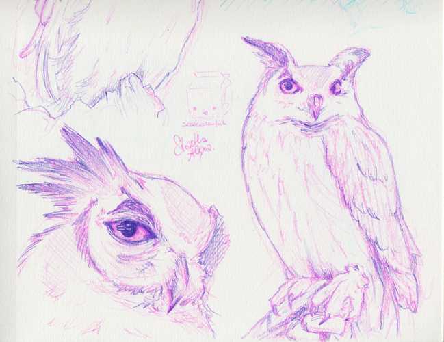 Sketch_Owl02